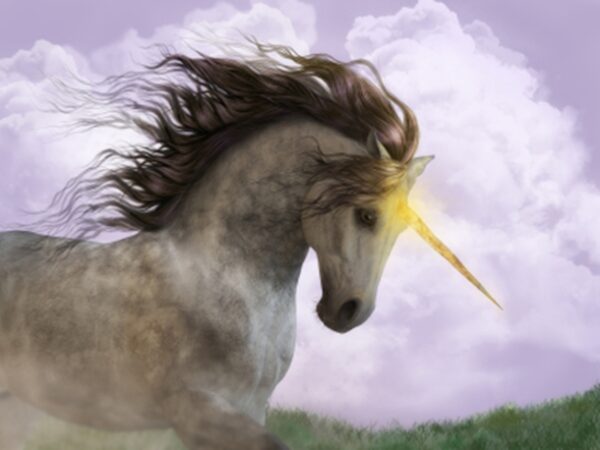 Poly Unicorns: Are they Real?