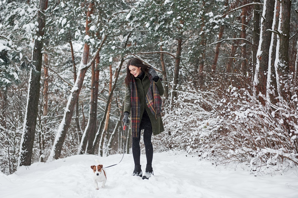 Woman Walking Dog in Winter